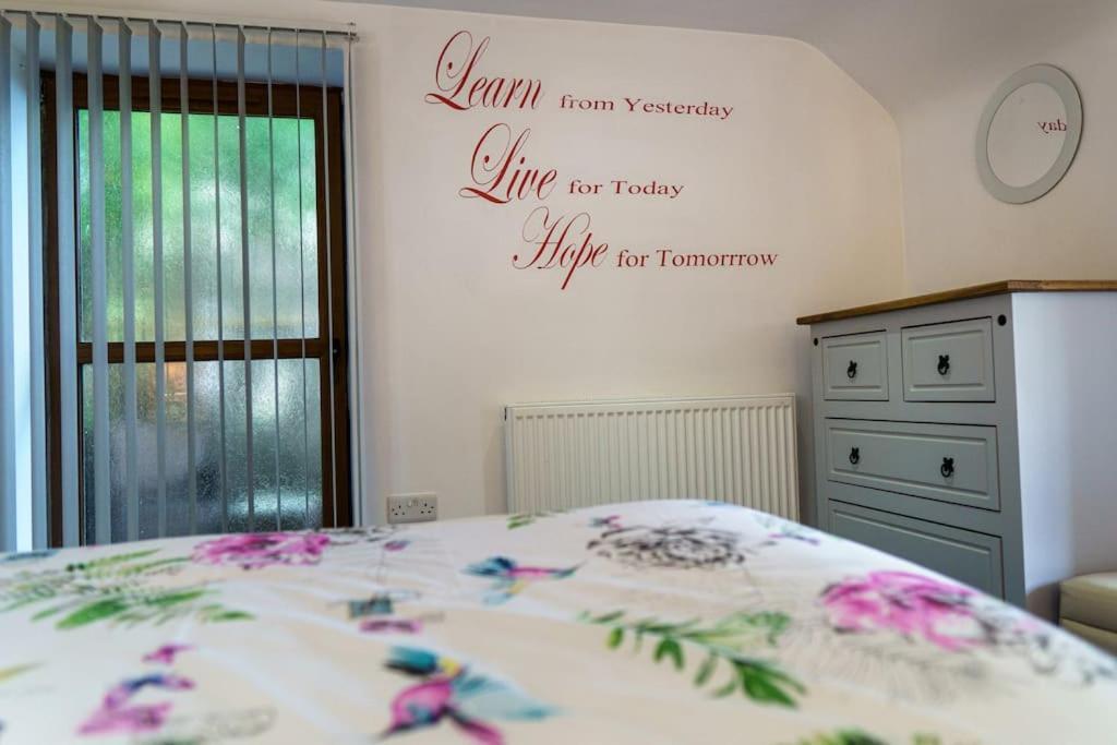 Millers Cottage Llandysul Eksteriør billede